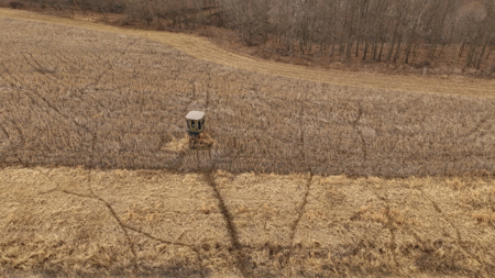 Blufftop Whitetail Estate – 39.21 Acres with Log Home & Whitetail - image 39