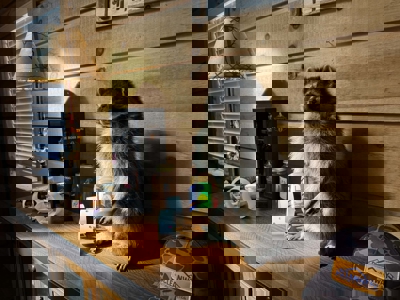 Riverfront Home And Land For Sale In Arkansas - image 14