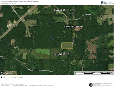 Hunting & Homesite Land Near Tylertown, MS - image 24