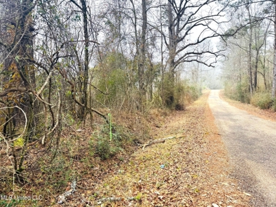 Hunting & Homesite Land Near Tylertown, MS - image 3