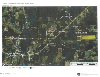 Hunting & Homesite Land Near Tylertown, MS - image 19