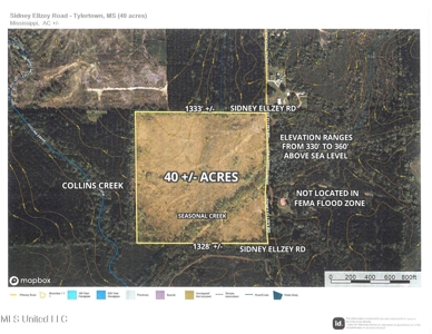 Hunting & Homesite Land Near Tylertown, MS - image 21