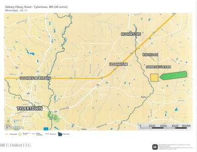 Hunting & Homesite Land Near Tylertown, MS - image 20