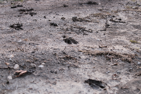 Home And Land For Sale In Cleveland MO - image 38