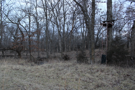 Home And Land For Sale In Cleveland MO - image 48