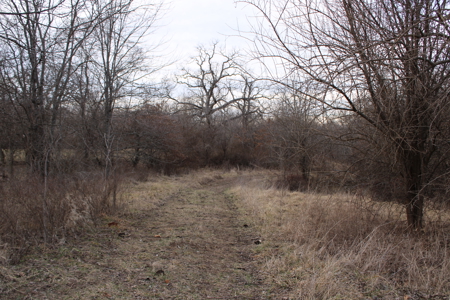 Home And Land For Sale In Cleveland MO - image 45