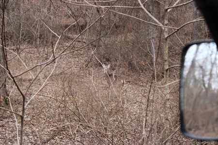 Home And Land For Sale In Cleveland MO - image 49