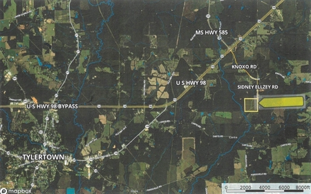 Hunting & Homesite Land Near Tylertown, MS - image 11