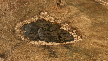 Updated Country Home with 77.8 Acres of Prime Whitetail Hunting - image 29