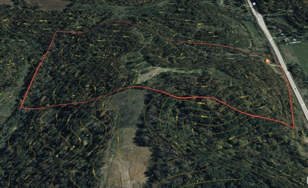 Updated Country Home with 77.8 Acres of Prime Whitetail Hunting - image 50