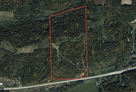 Updated Country Home with 77.8 Acres of Prime Whitetail Hunting - image 46