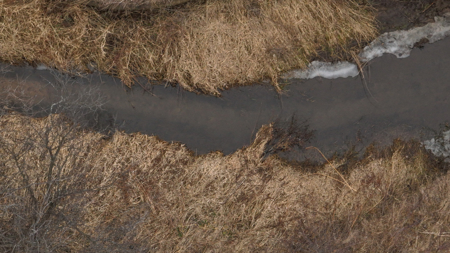 Updated Country Home with 77.8 Acres of Prime Whitetail Hunting - image 28