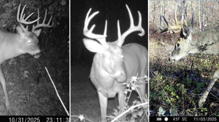 Updated Country Home with 77.8 Acres of Prime Whitetail Hunting - image 36