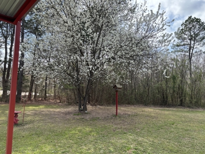 Country Home on 2 ac in East Texas, Metal Shop and Covered Porch - image 28