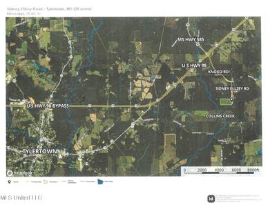 Hunting & Homesite Land Near Tylertown, MS - image 11