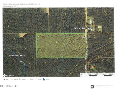 Hunting & Homesite Land Near Tylertown, MS - image 13