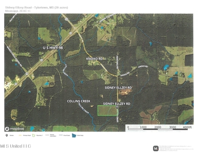 Hunting & Homesite Land Near Tylertown, MS - image 12