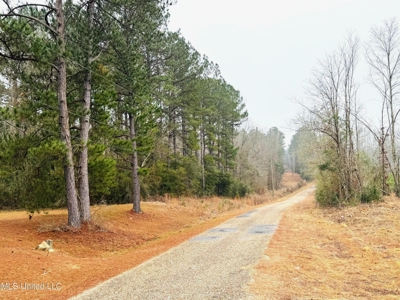 Hunting & Homesite Land Near Tylertown, MS - image 2
