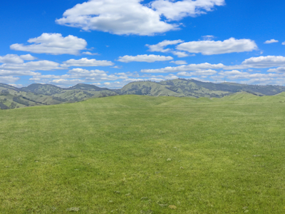 80 Acres in Esparto | Hungry Hollow | County Road 84A Strategic L - image 4