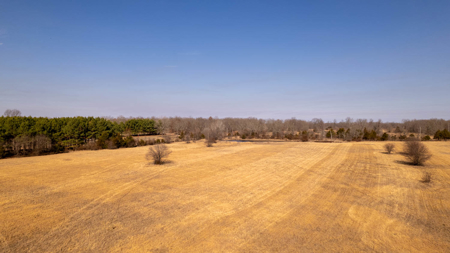 81 Acres in the Arkansas Ozarks | Mammoth Spring - image 19