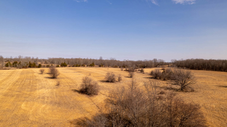 81 Acres in the Arkansas Ozarks | Mammoth Spring - image 17