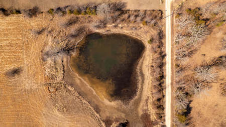81 Acres in the Arkansas Ozarks | Mammoth Spring - image 5