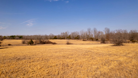 81 Acres in the Arkansas Ozarks | Mammoth Spring - image 14