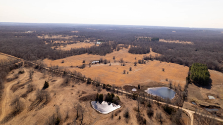 81 Acres in the Arkansas Ozarks | Mammoth Spring - image 7