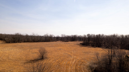 81 Acres in the Arkansas Ozarks | Mammoth Spring - image 18