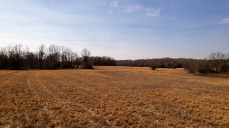 81 Acres in the Arkansas Ozarks | Mammoth Spring - image 16