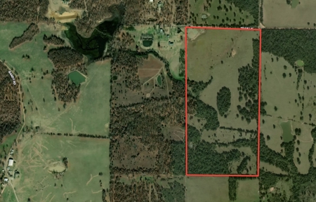 81 Acres in the Arkansas Ozarks | Mammoth Spring - image 2