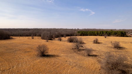81 Acres in the Arkansas Ozarks | Mammoth Spring - image 12