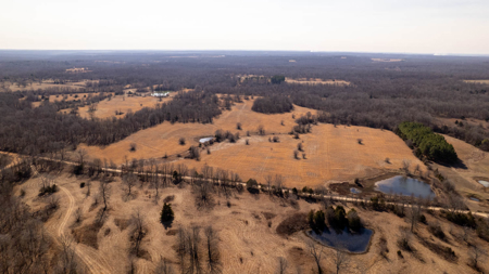 81 Acres in the Arkansas Ozarks | Mammoth Spring - image 8