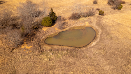 81 Acres in the Arkansas Ozarks | Mammoth Spring - image 9