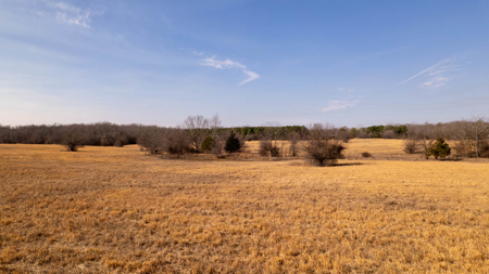 81 Acres in the Arkansas Ozarks | Mammoth Spring - image 15