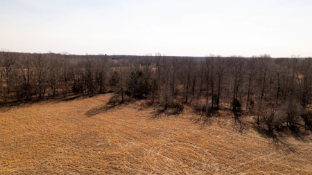81 Acres in the Arkansas Ozarks | Mammoth Spring - image 10