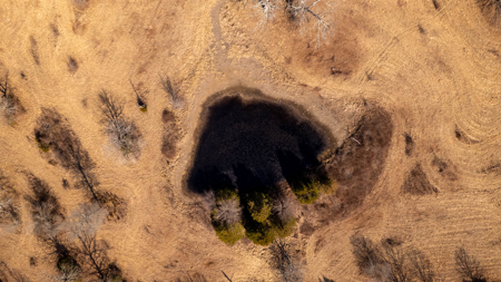 81 Acres in the Arkansas Ozarks | Mammoth Spring - image 6