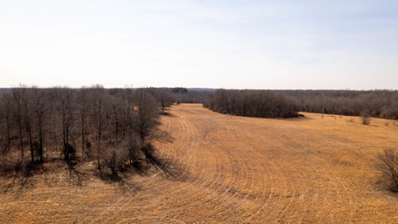 81 Acres in the Arkansas Ozarks | Mammoth Spring - image 11