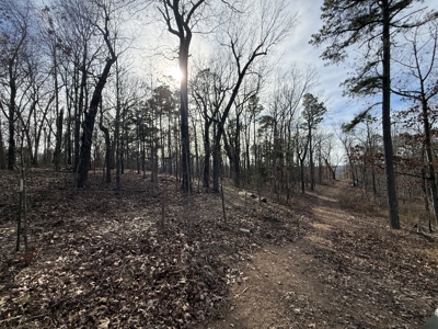 Hunting And Recreational Land For Sale In Arkansas - image 21