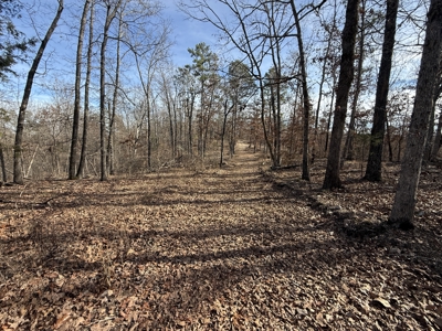 Hunting And Recreational Land For Sale In Arkansas - image 16