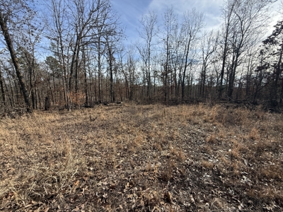 Hunting And Recreational Land For Sale In Arkansas - image 15