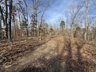 Hunting And Recreational Land For Sale In Arkansas - image 19