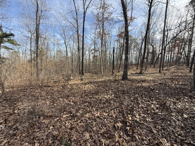 Hunting And Recreational Land For Sale In Arkansas - image 20