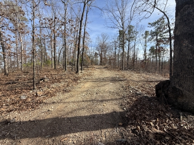 Hunting And Recreational Land For Sale In Arkansas - image 18