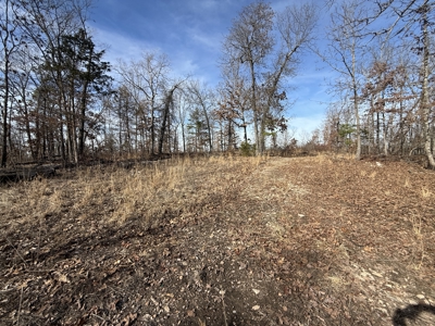 Hunting And Recreational Land For Sale In Arkansas - image 14