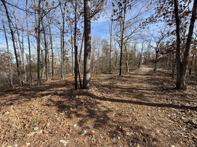 Hunting And Recreational Land For Sale In Arkansas - image 17