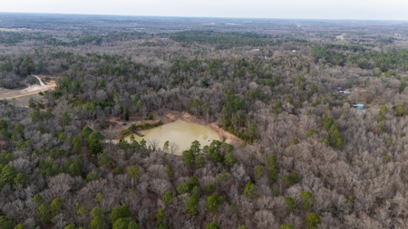 142 Acres 60x40 Shop + 4BR-3BA Home in Winnsboro Wood County TX - image 45