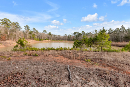 142 Acres 60x40 Shop + 4BR-3BA Home in Winnsboro Wood County TX - image 43