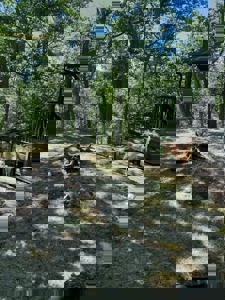 Private Canada Creek Ranch Cabin with Bunkhouse & Premier Hunting - image 16