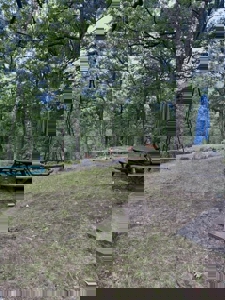 Private Canada Creek Ranch Cabin with Bunkhouse & Premier Hunting - image 17